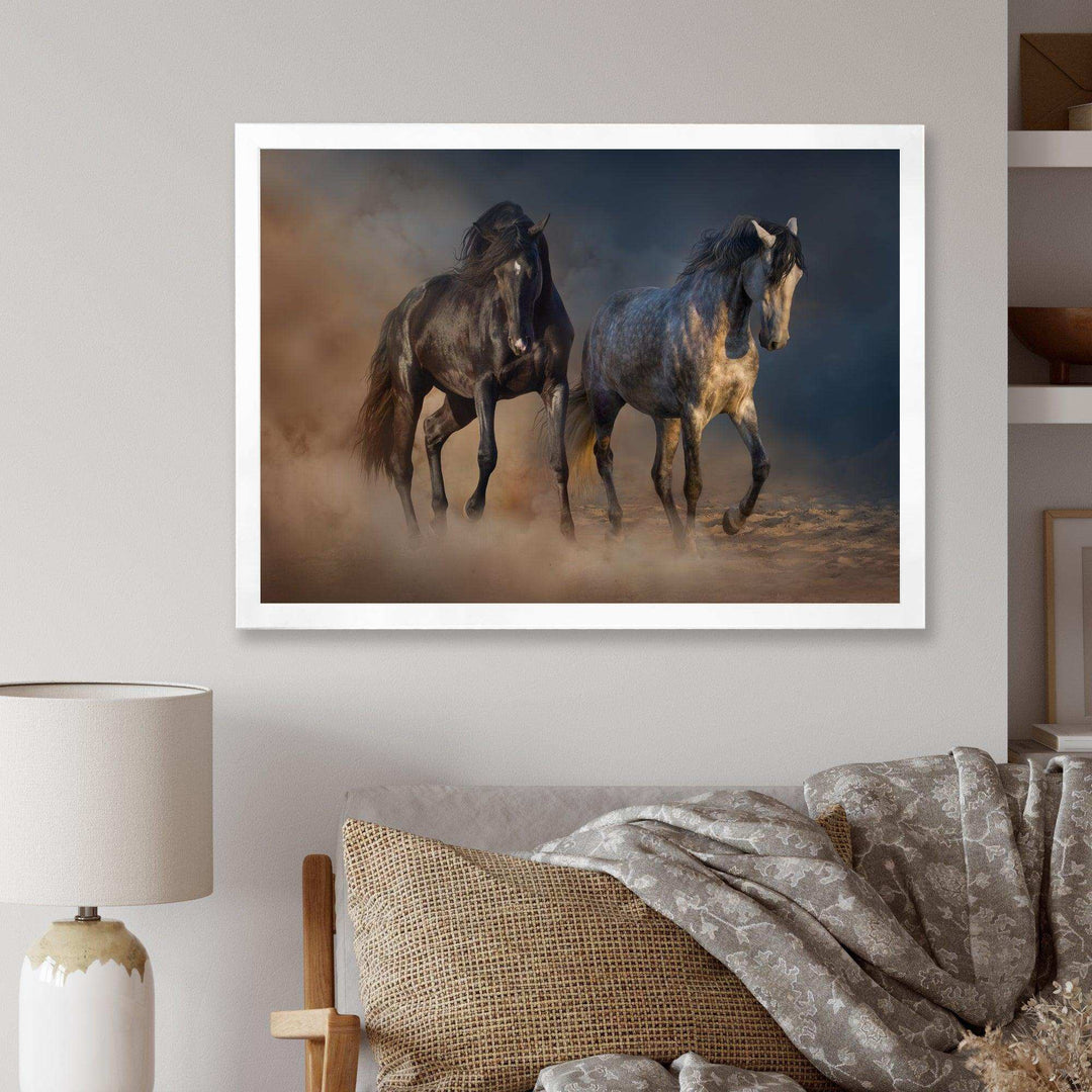 Black and white horse run