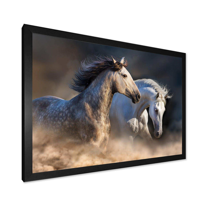 Horses run in dust