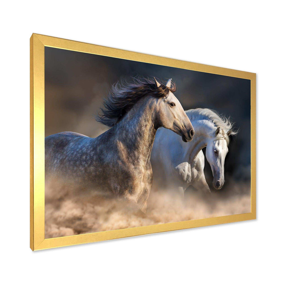 Horses run in dust