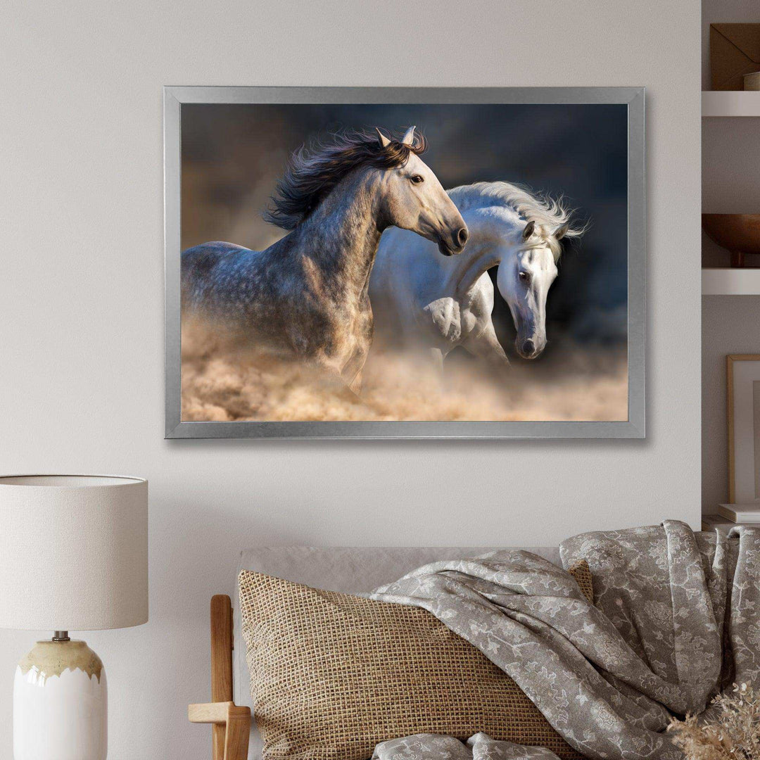 Horses run in dust