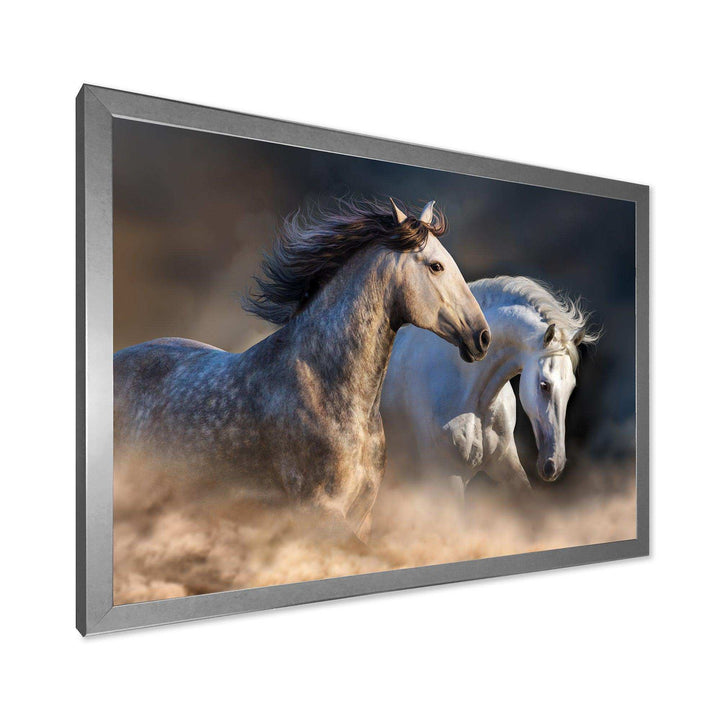 Horses run in dust