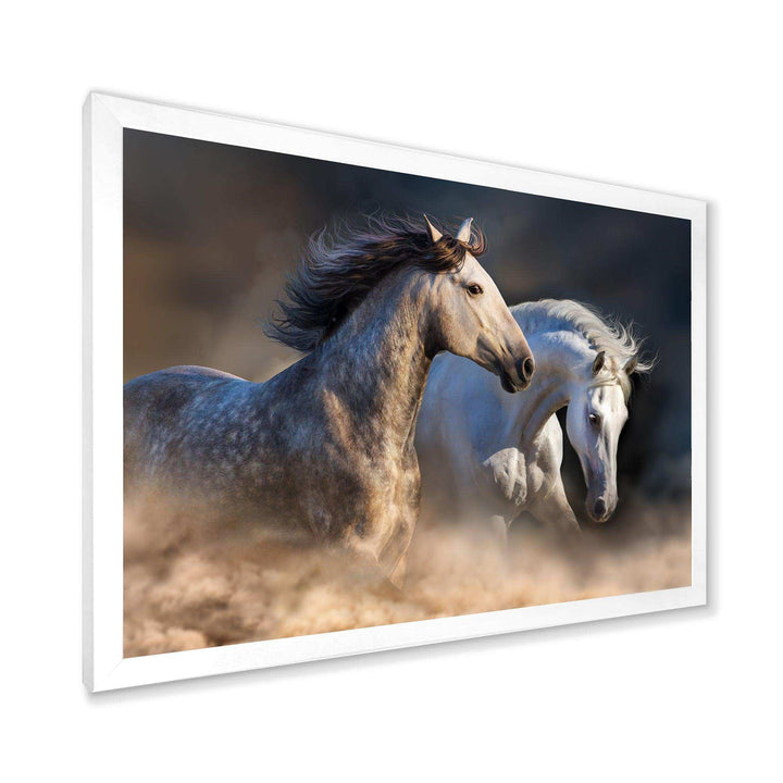 Horses run in dust