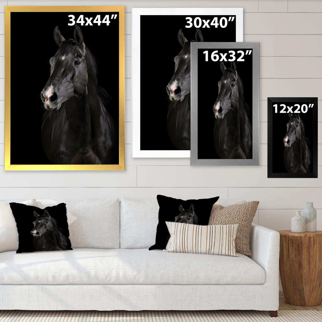 Black horse in darkness