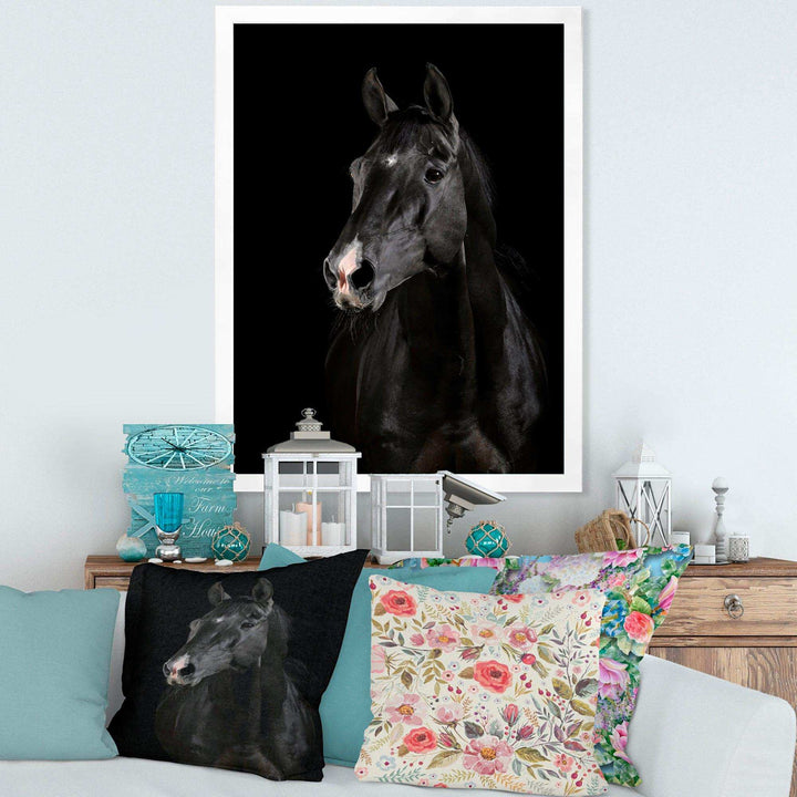 Black horse in darkness