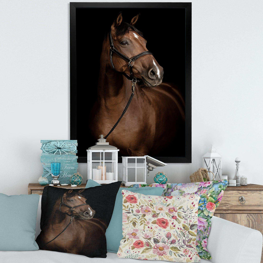 Horse Portrait