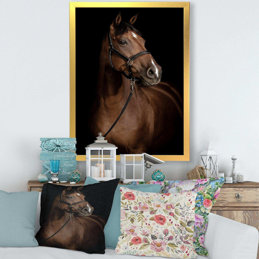 Horse Portrait