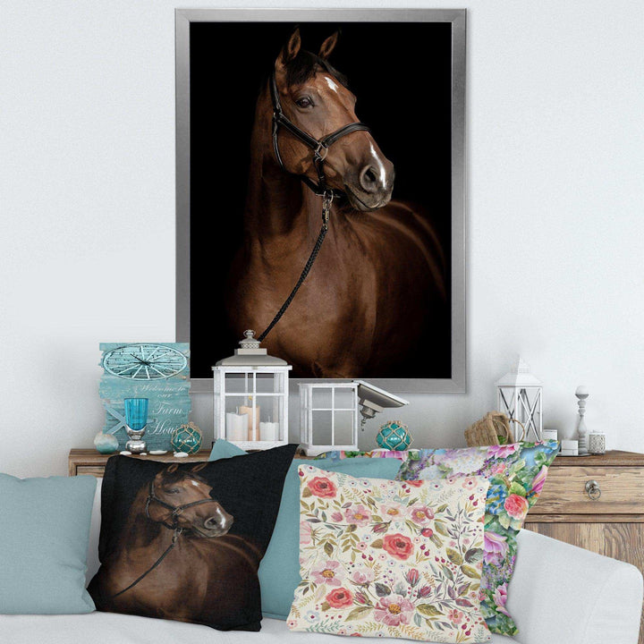 Horse Portrait