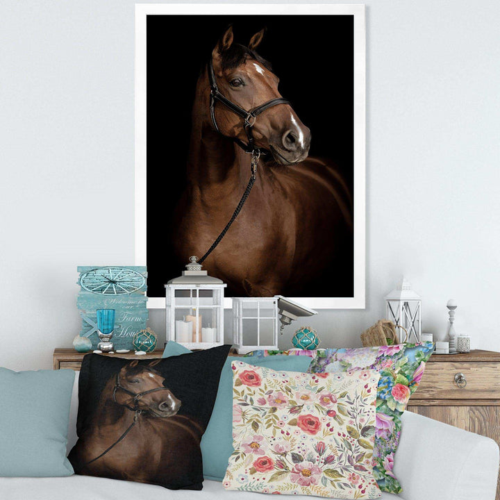 Horse Portrait