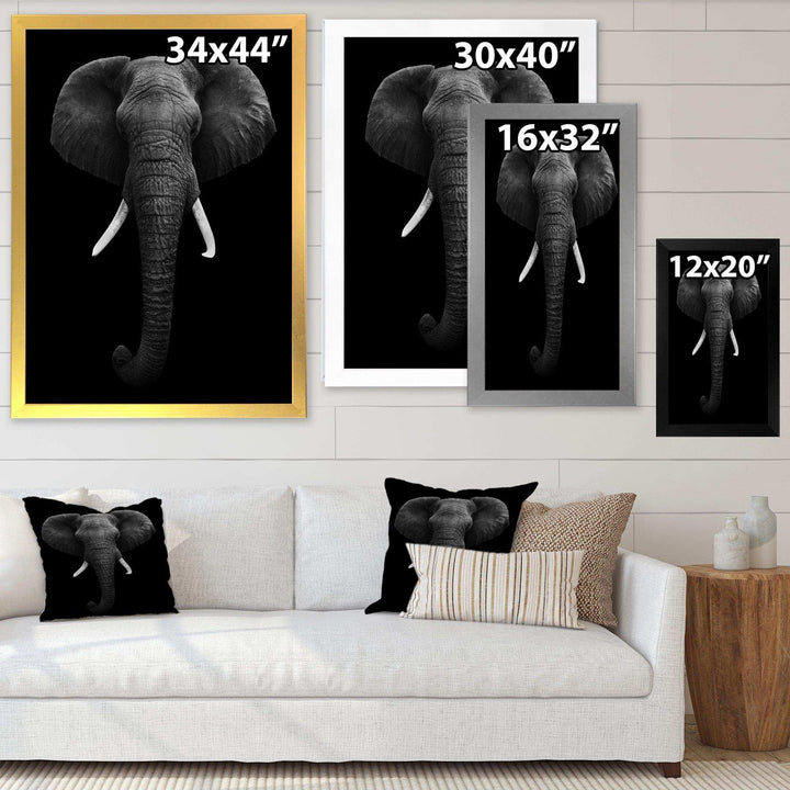 African Elephant