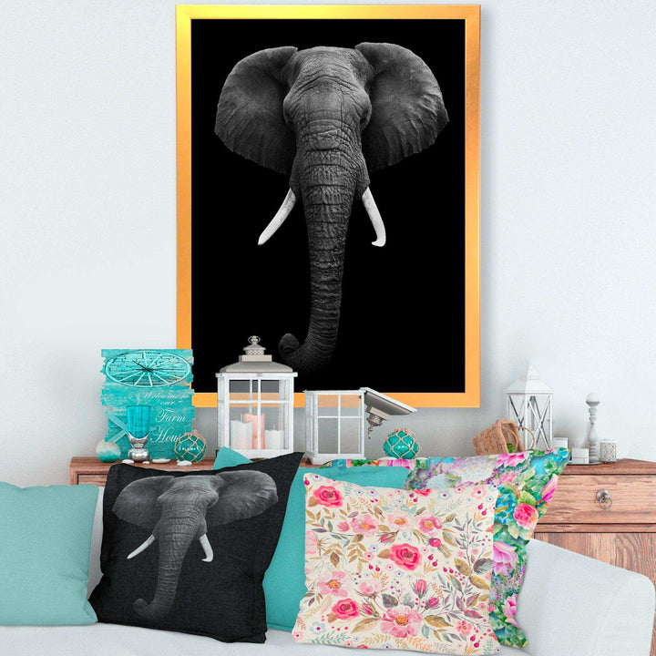African Elephant
