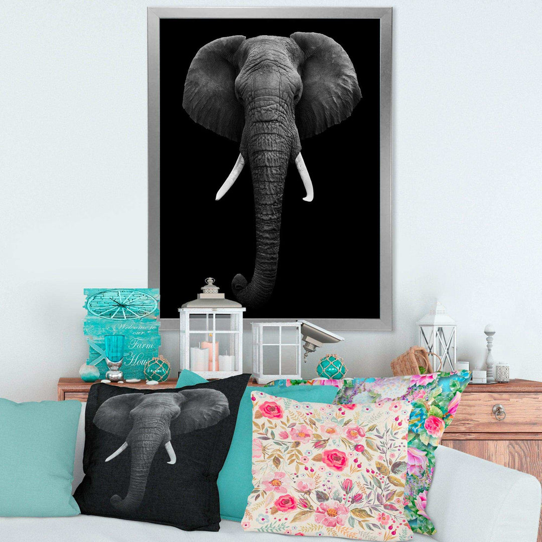 African Elephant