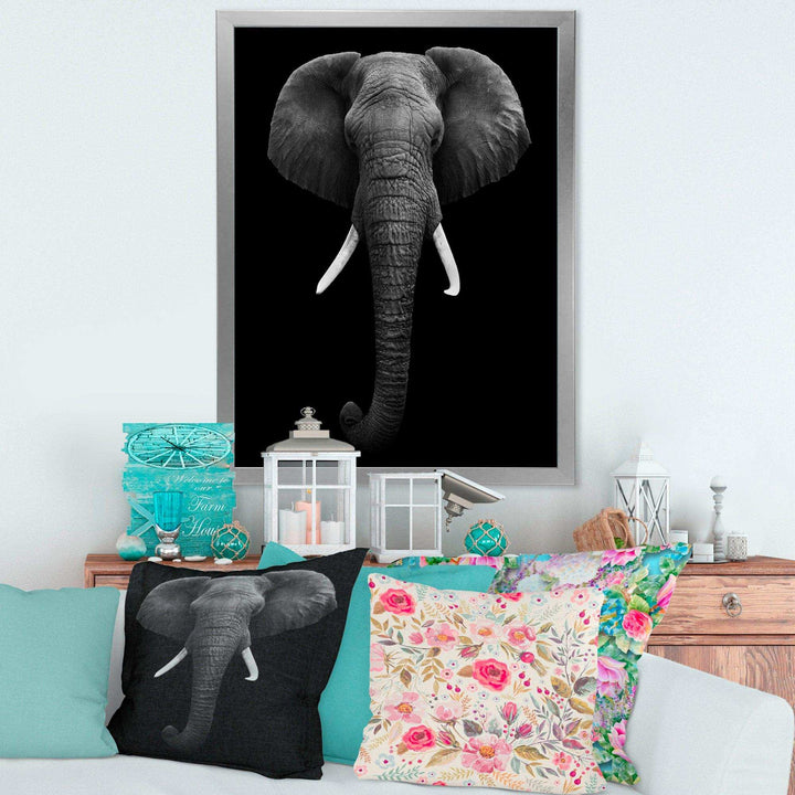 African Elephant