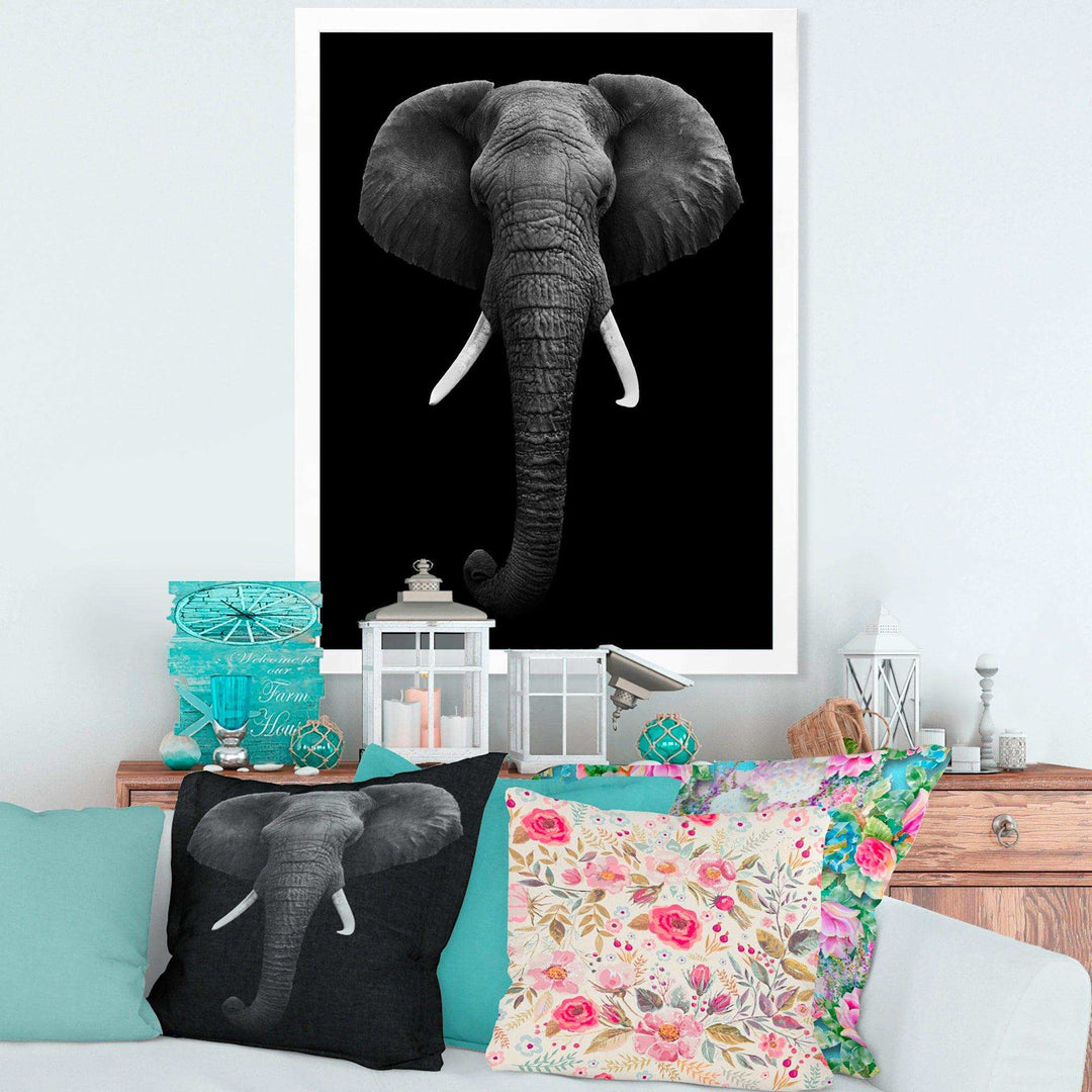 African Elephant
