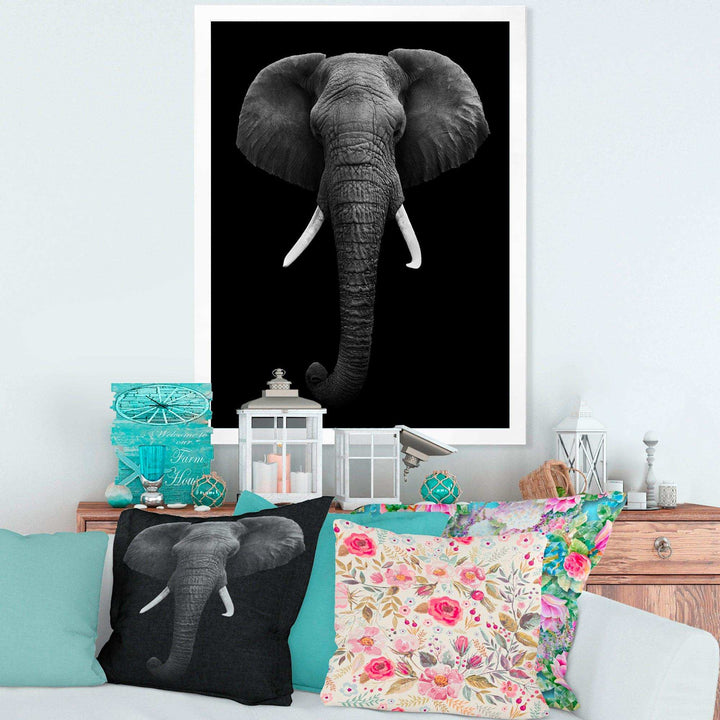 African Elephant