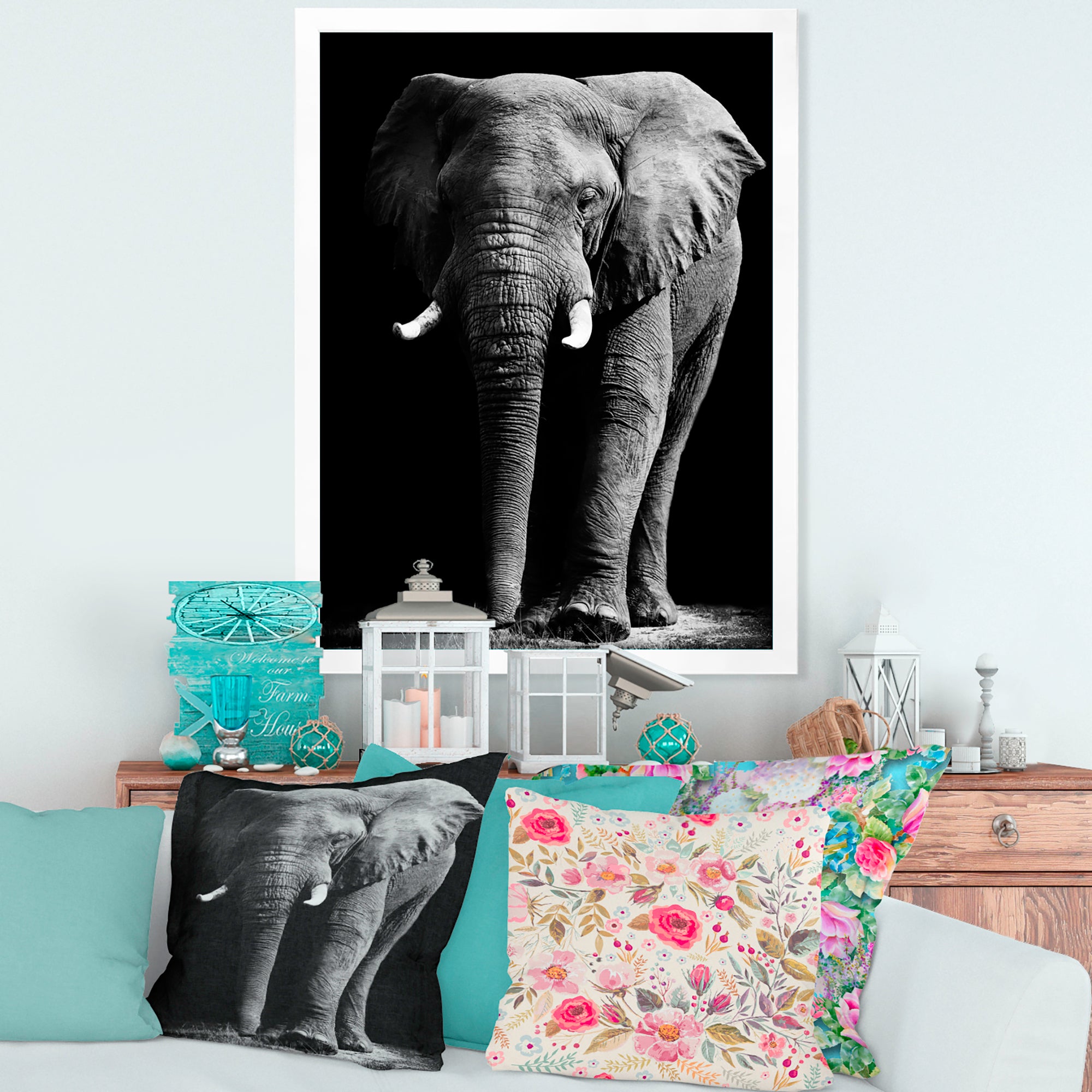 African Elephant in Black Background