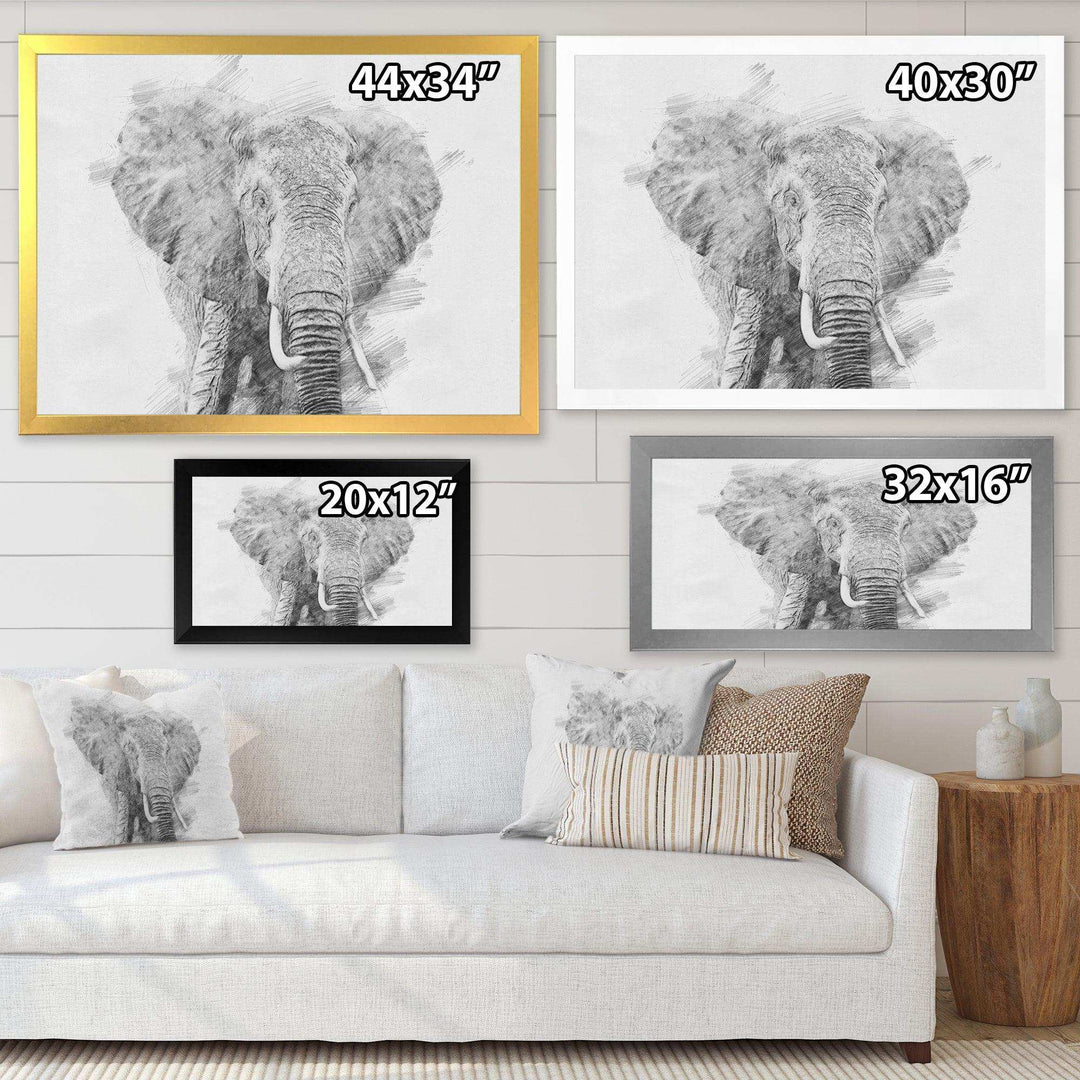 Black and White Elephant Sketch - Traditional Living Room Wall Decor