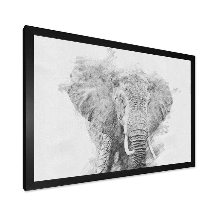 Black and White Elephant Sketch - Traditional Living Room Wall Decor
