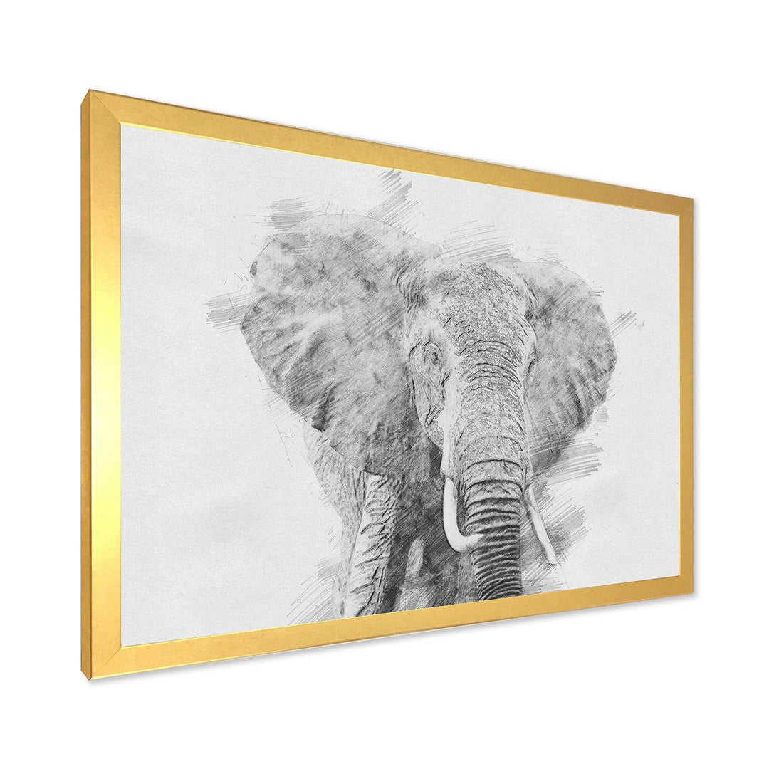 Black and White Elephant Sketch - Traditional Living Room Wall Decor