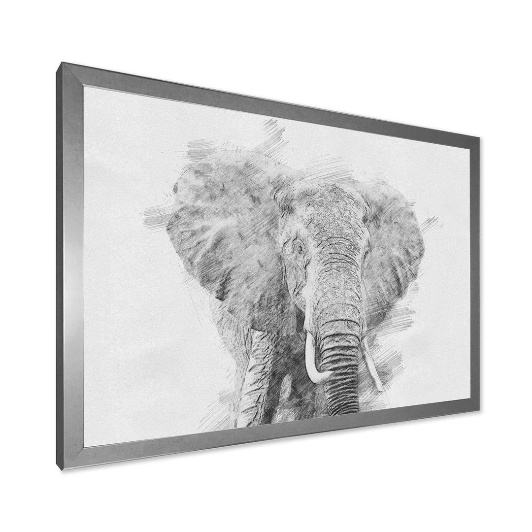Black and White Elephant Sketch - Traditional Living Room Wall Decor