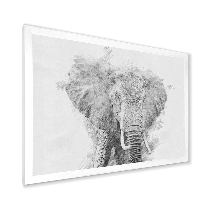 Black and White Elephant Sketch - Traditional Living Room Wall Decor