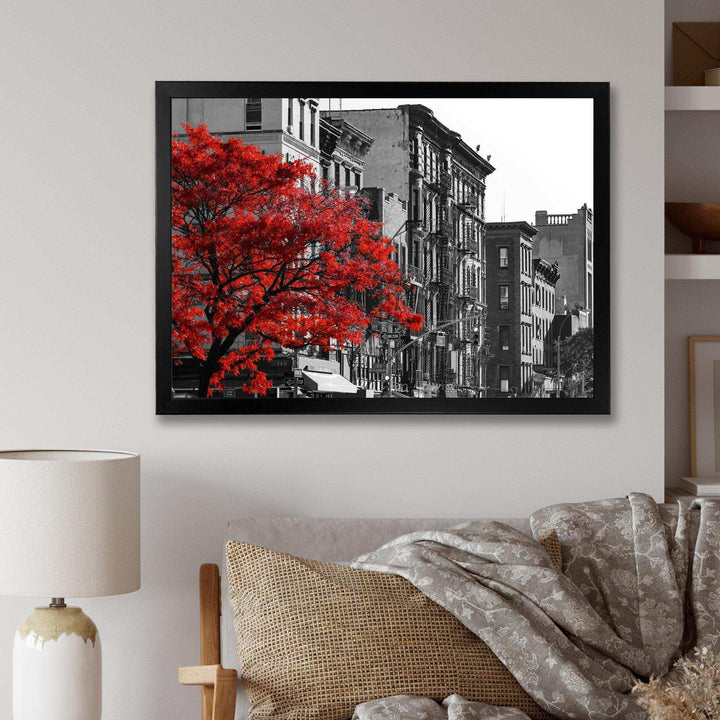 Red Tree on Black and White New York City Street