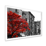 Red Tree on Black and White New York City Street