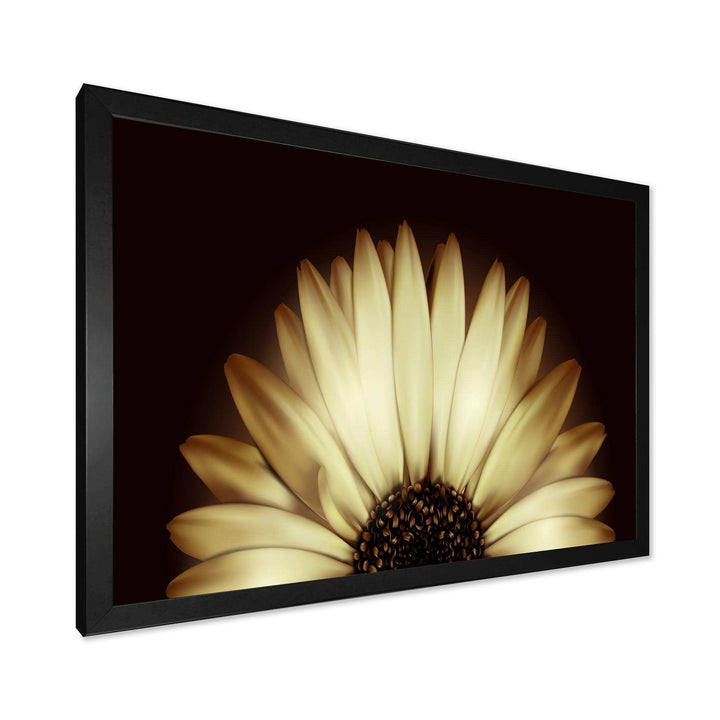 Sunflower in Black background - Floral Canvas Wall Art