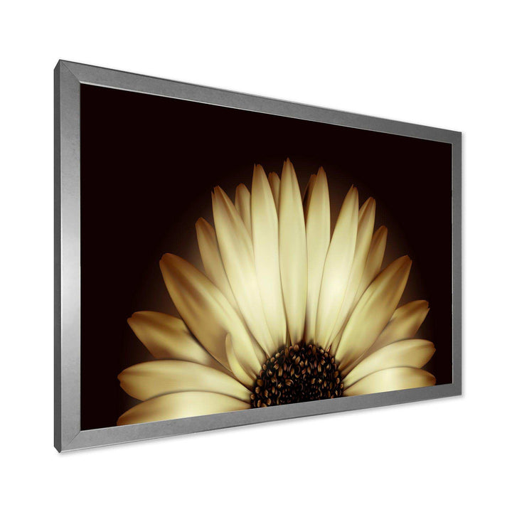Sunflower in Black background - Floral Canvas Wall Art