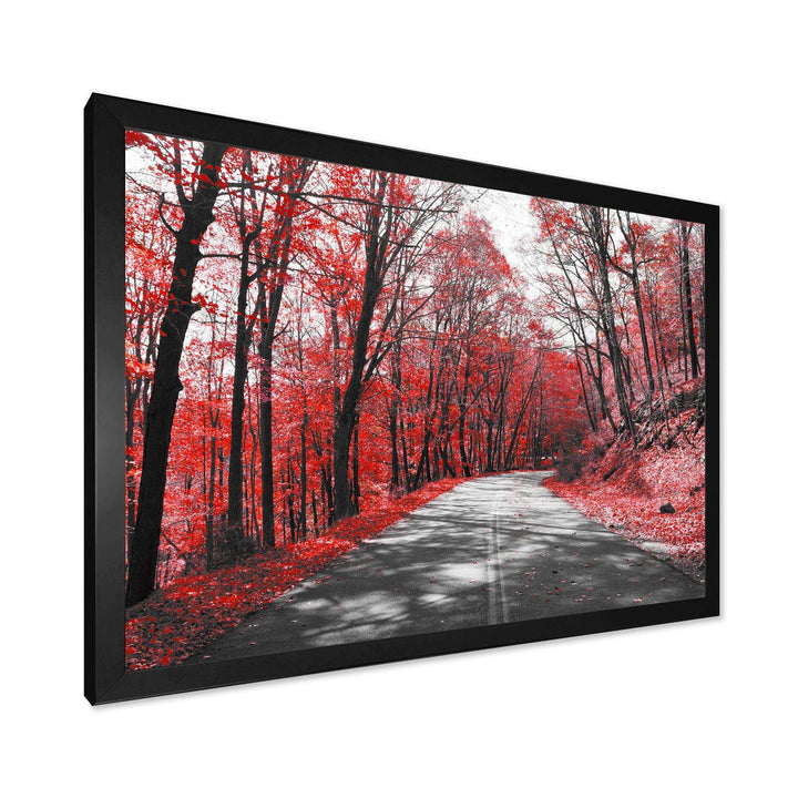 Patch in Red Forest
