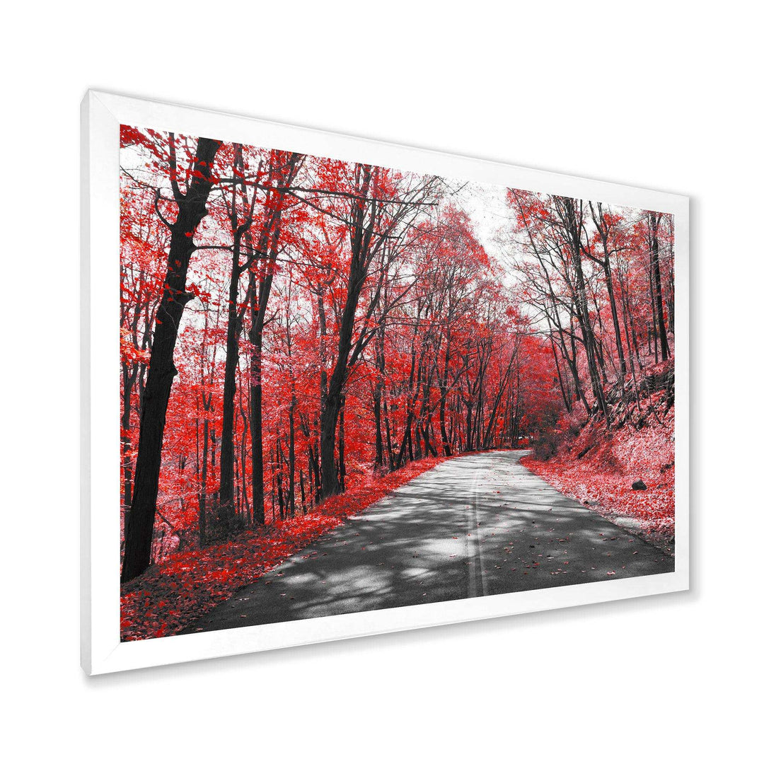 Patch in Red Forest