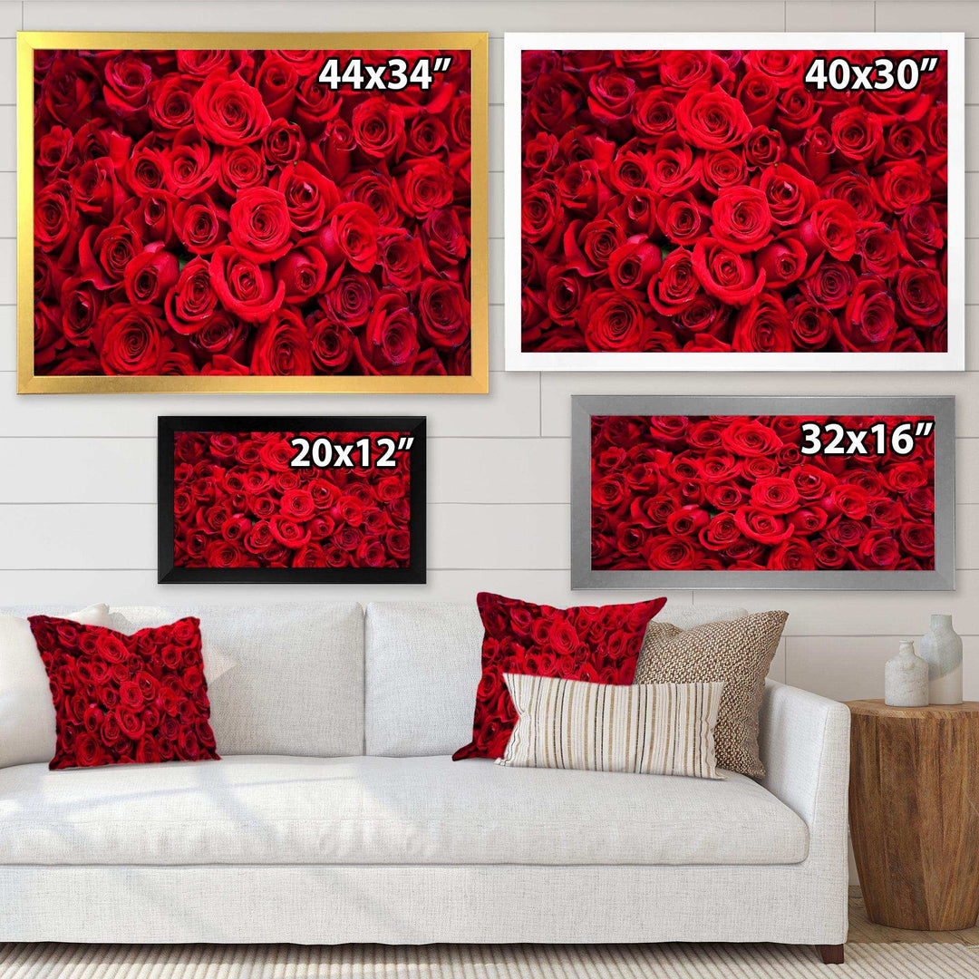 Winter Red Rose