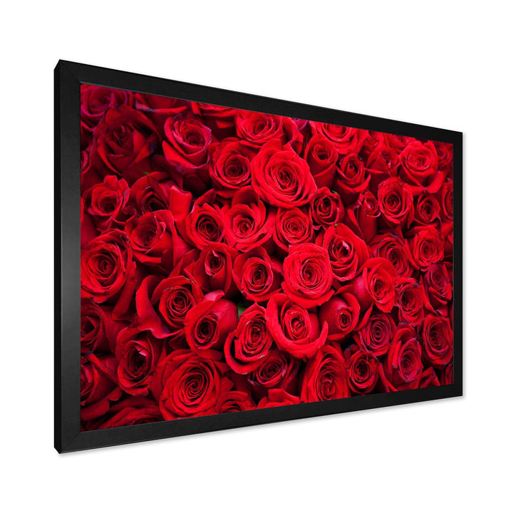 Winter Red Rose