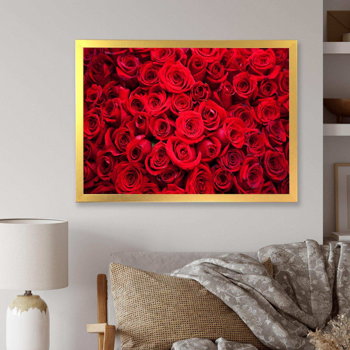 Winter Red Rose