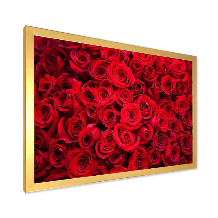 Winter Red Rose