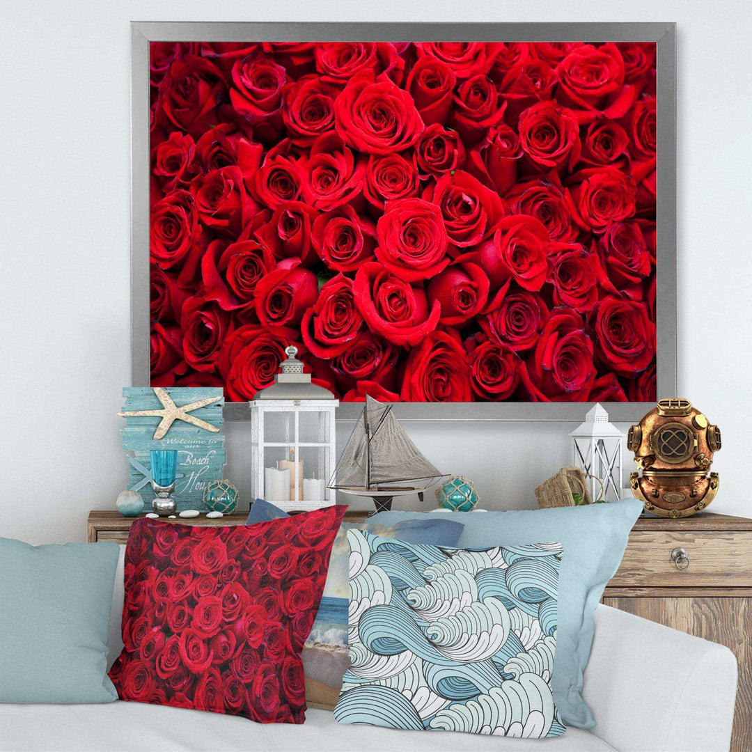 Winter Red Rose