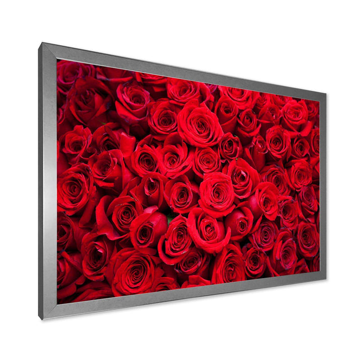 Winter Red Rose