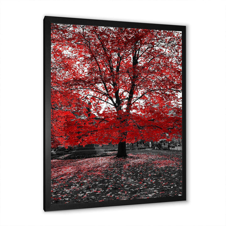 Red Tree in Central Park