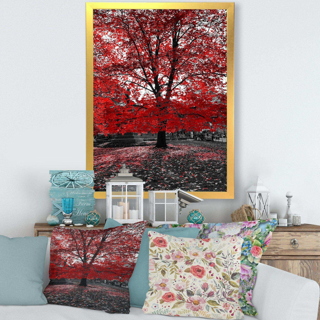 Red Tree in Central Park