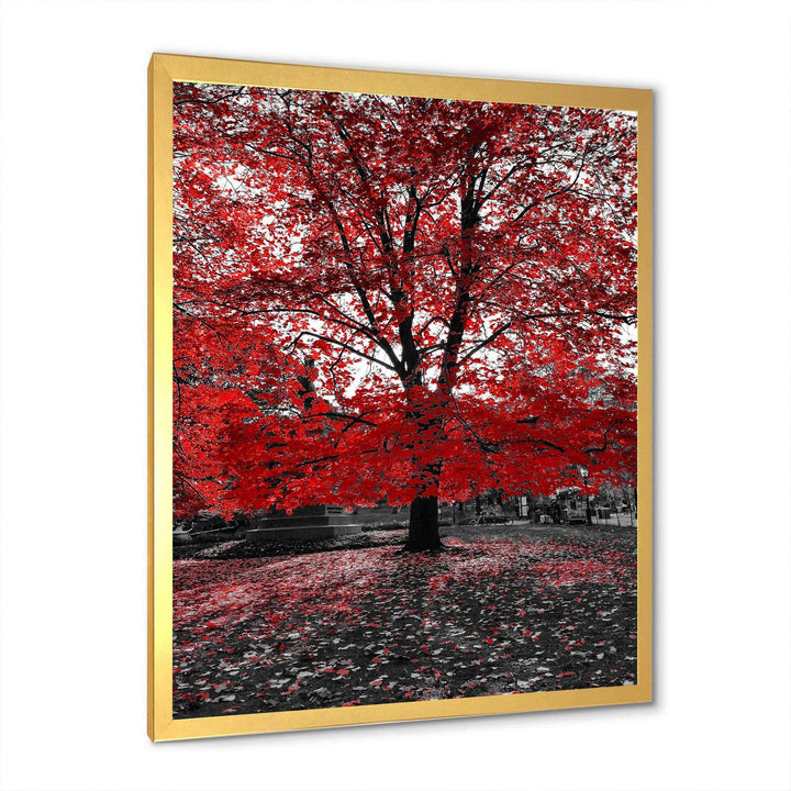 Red Tree in Central Park
