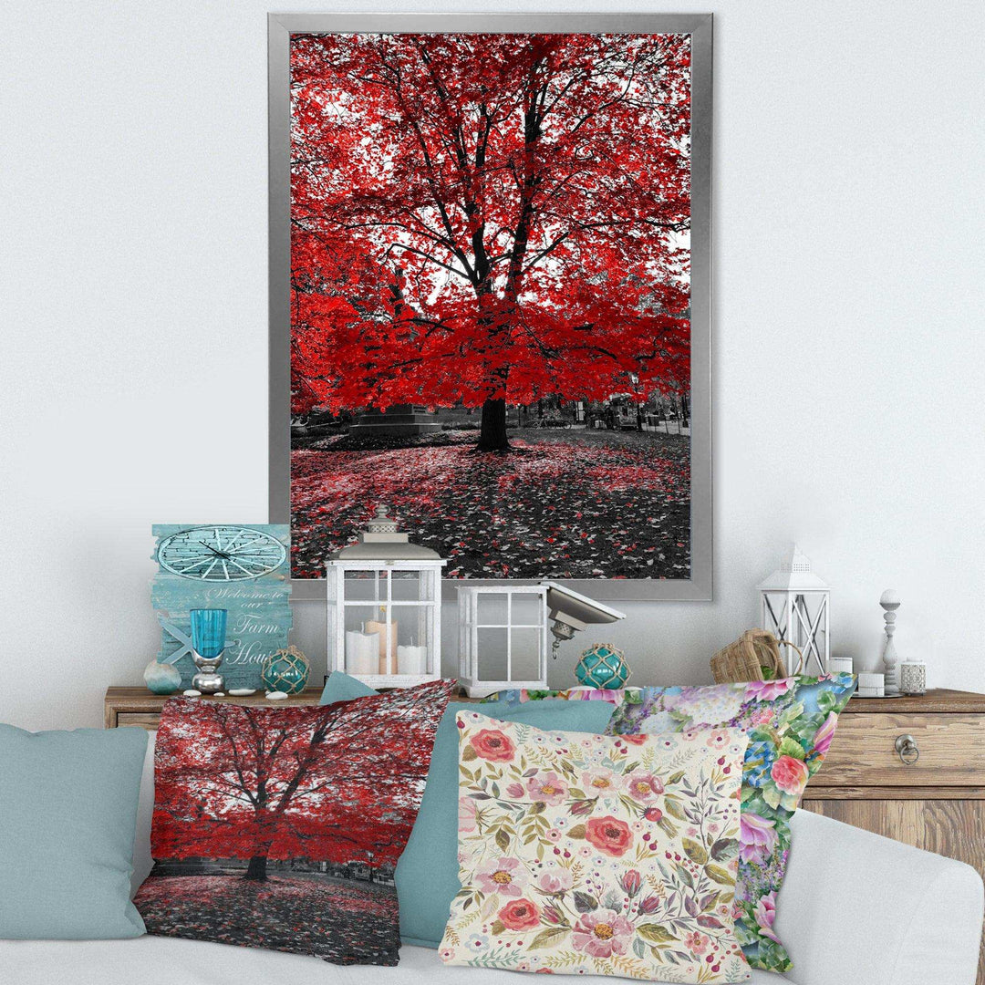 Red Tree in Central Park
