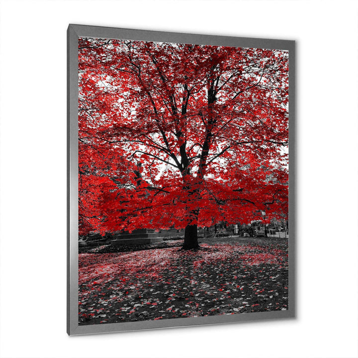 Red Tree in Central Park