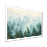 Misty Forest