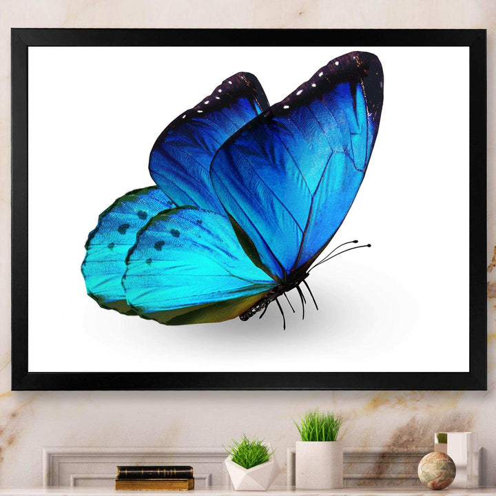 Vibrant Blue Butterfly