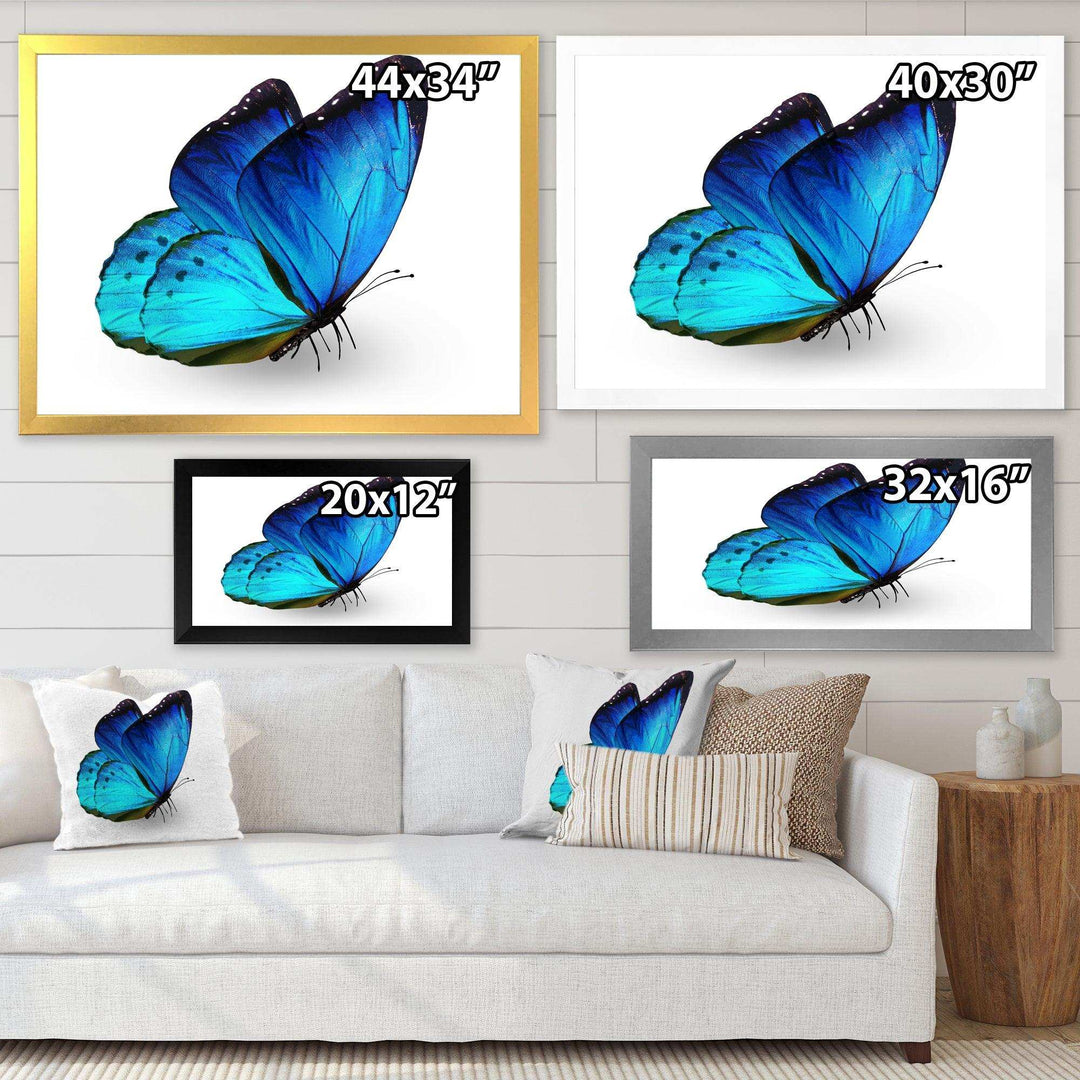 Vibrant Blue Butterfly