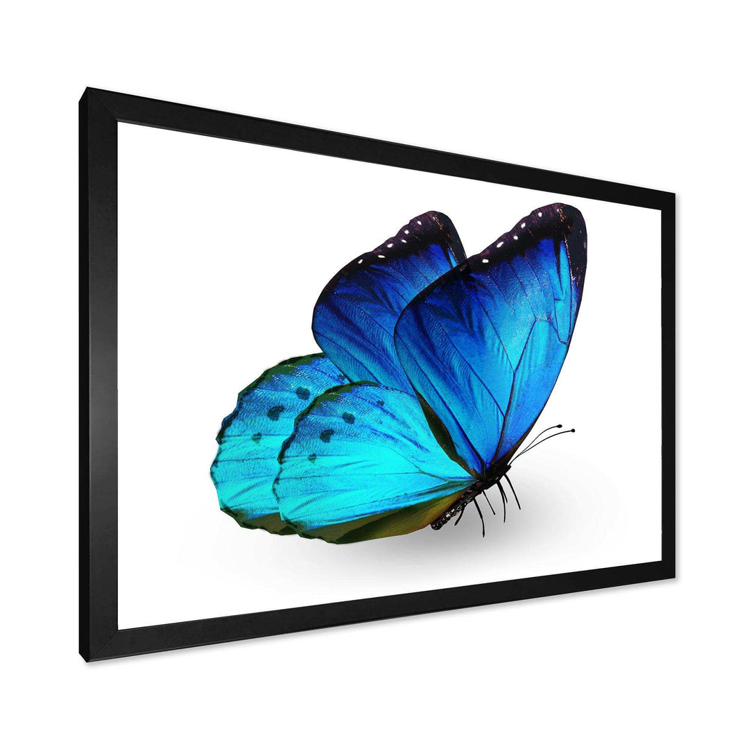 Vibrant Blue Butterfly