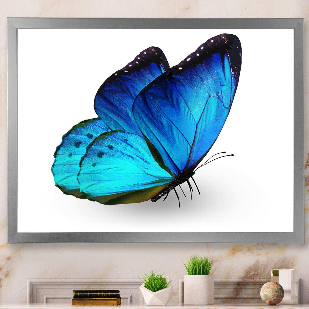 Vibrant Blue Butterfly