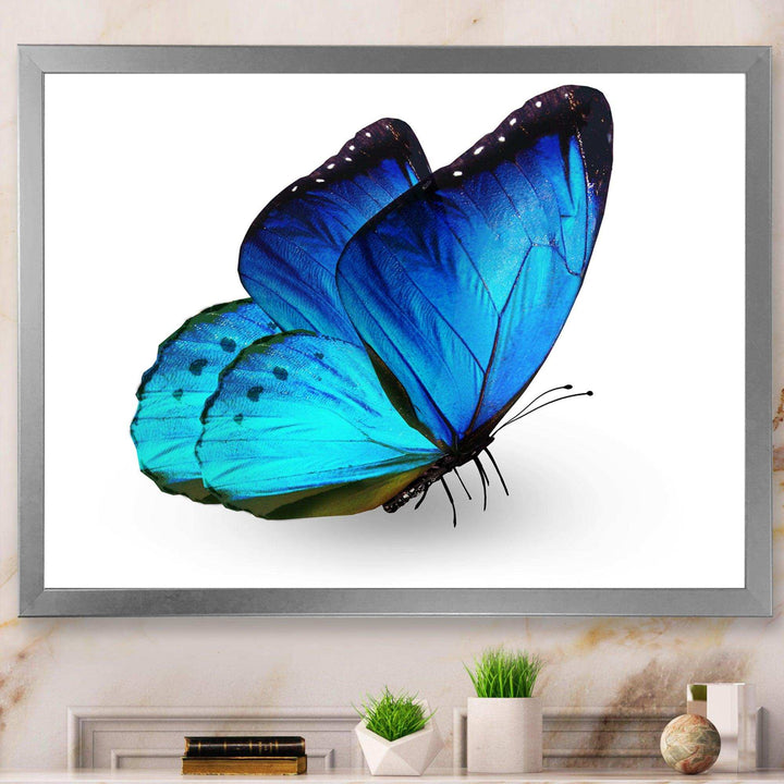 Vibrant Blue Butterfly