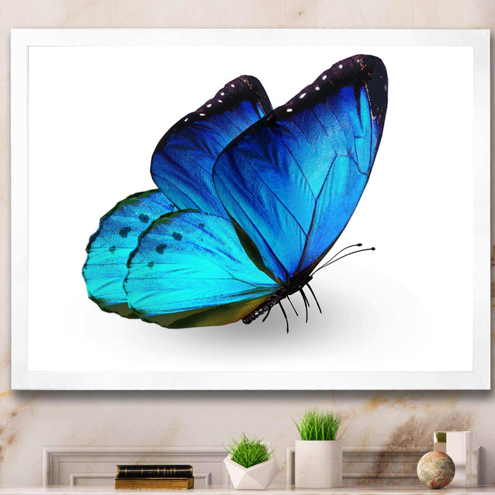 Vibrant Blue Butterfly