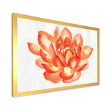 Vintage Detail of A Orange Lotus