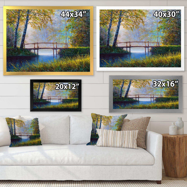 Morning Sunlight and The Awakening Spring Forest